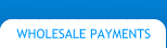 Wholesale Payments